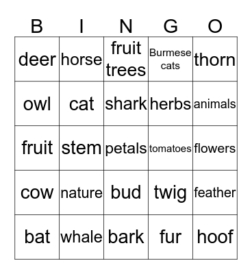 The natural world Bingo Card