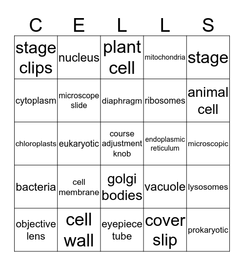 Cells and Microscopes  Bingo Card
