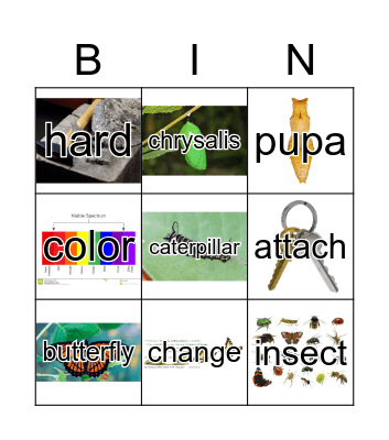 GR1 Unit4 Part2pics REACH Bingo Card