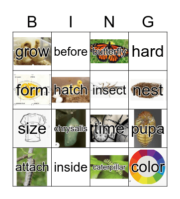 GR1 Unit4 Parts1&2 Bingo Card