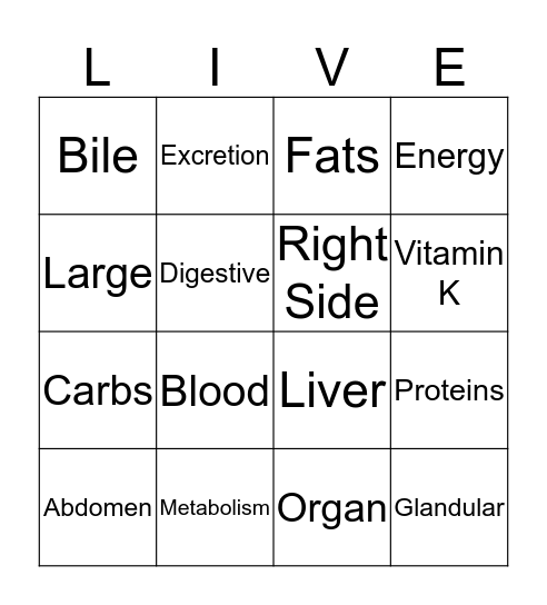 Liver  Bingo Card