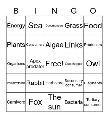 Food Chain Bingo Card