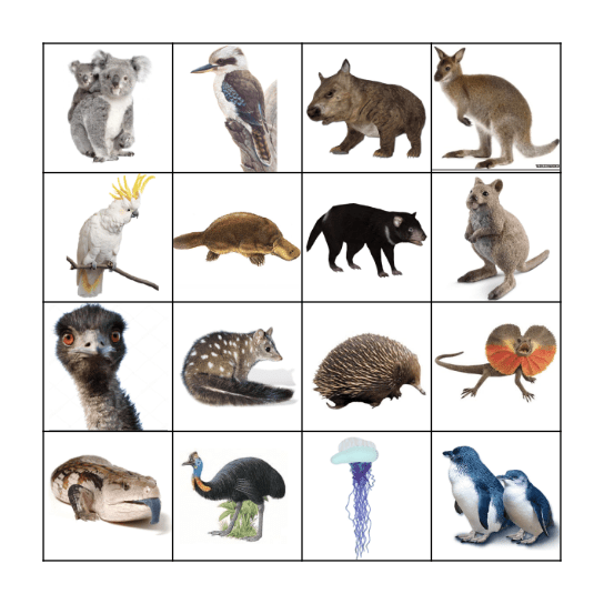 Animals Bingo Card