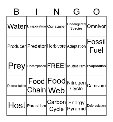 Science Bingo Card