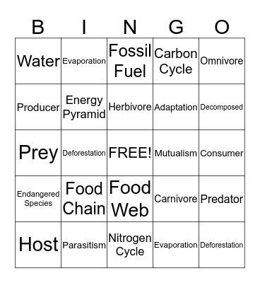 Science Bingo Card