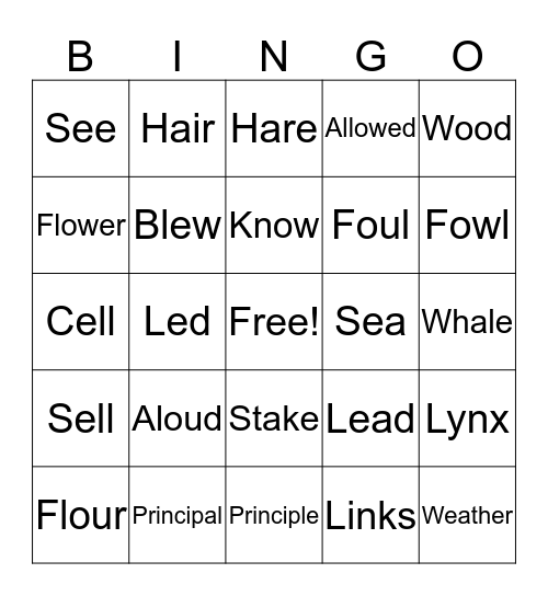 Homophone Bingo Card