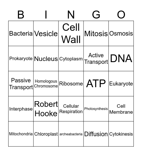 Cells Unit Review Bingo Card