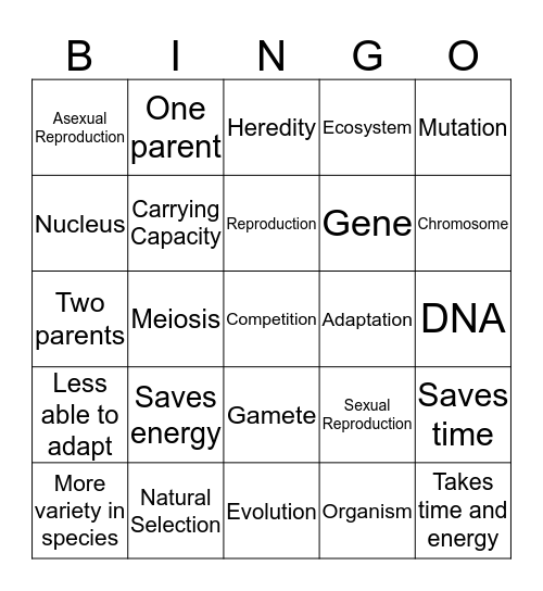 Reproduction Bingo Card