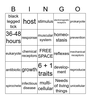 Lyme Disease Bingo Card