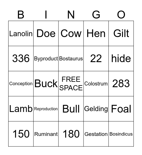 Agriculture Bingo Card