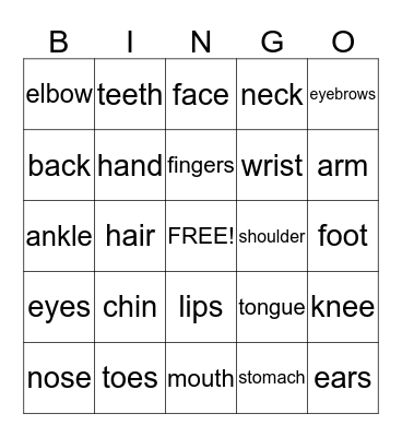 Human Body Bingo Card