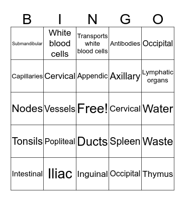 Anatomy and Physiology - The Lymphatic System Bingo Card