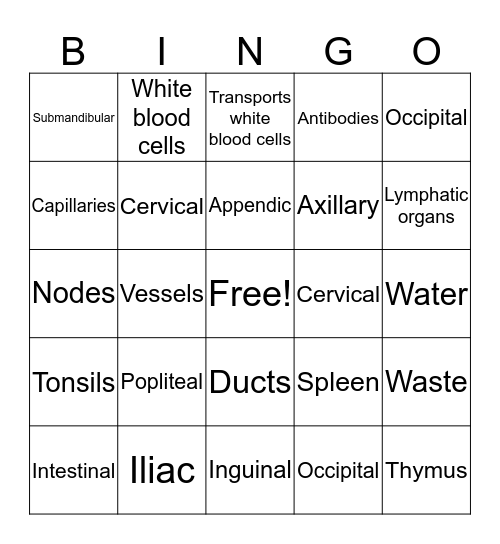 Anatomy and Physiology - The Lymphatic System Bingo Card