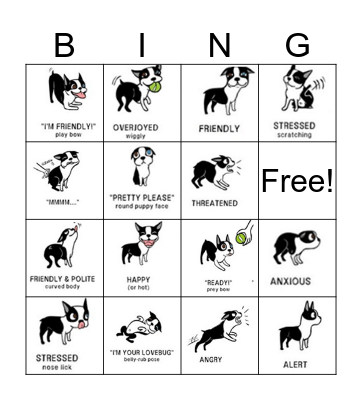 Body Language Bingo Card