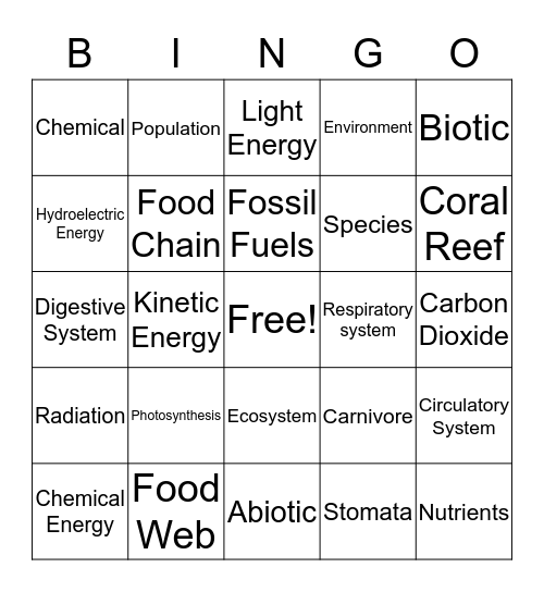 Science Words Unit 5  Bingo Card