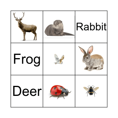 Forest Animal Bingo Card