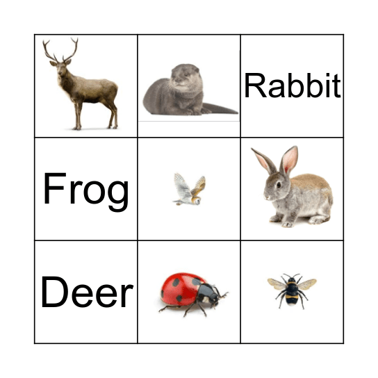 Forest Animal Bingo Card