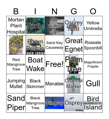 Tropical Family Cruise Bingo Card