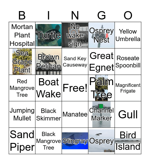 Tropical Family Cruise Bingo Card