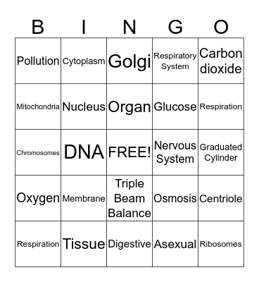 Science Review Bingo Card