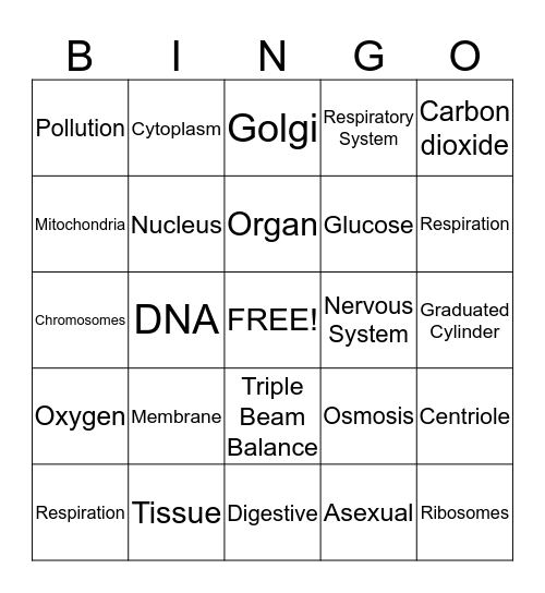 Science Review Bingo Card
