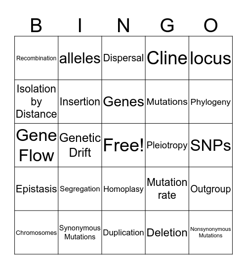 Bingo Card