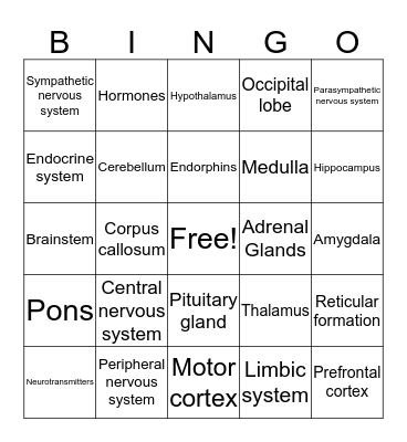 Brain Bingo Card