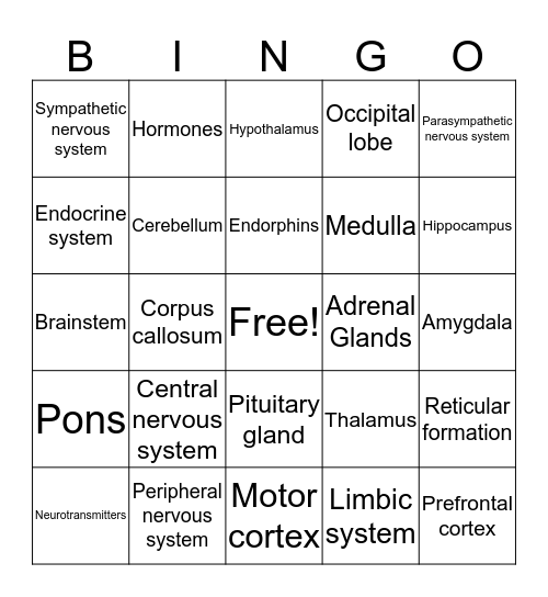 Brain Bingo Card