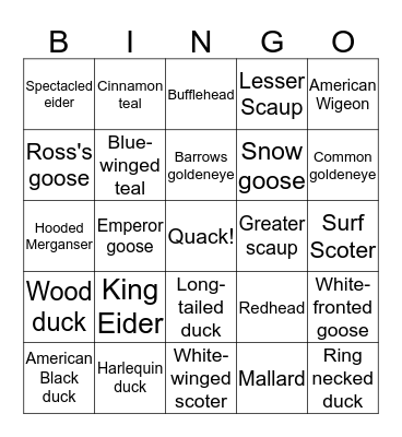 DUCK-O Bingo Card
