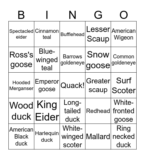 DUCK-O Bingo Card