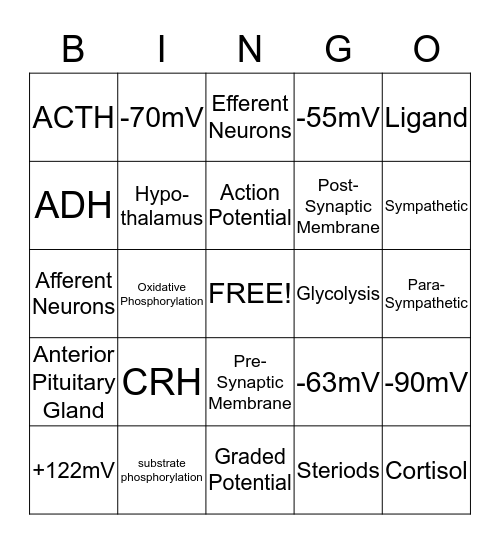 Physiology Bingo Card