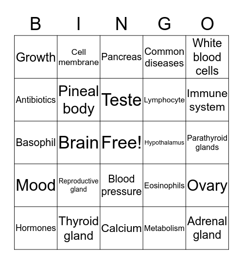 Endocrine System  Bingo Card