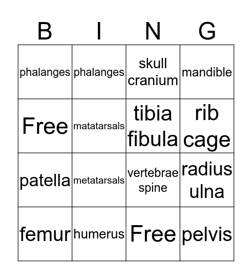Skeletal System Bingo Card