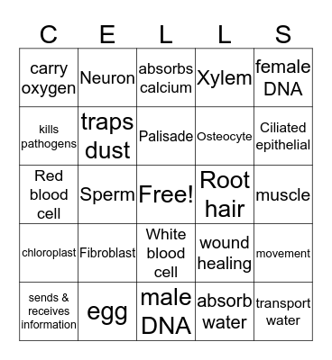 Specialized Cells Bingo Card