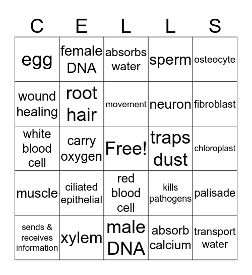 Specialized Cells Bingo Card