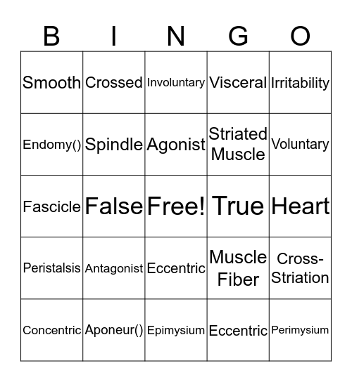 Skeletal Muscle Bingo Card