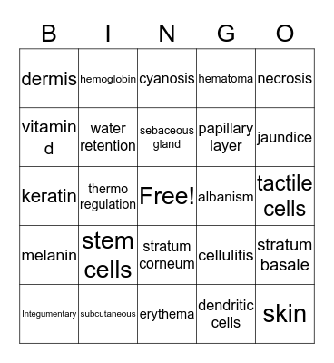 Integumentary System Bingo Card