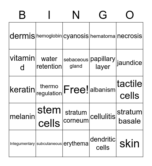 Integumentary System Bingo Card