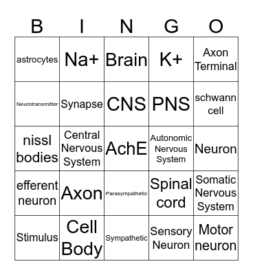 NERVOUS SYSTEM- Neuron Bingo Card