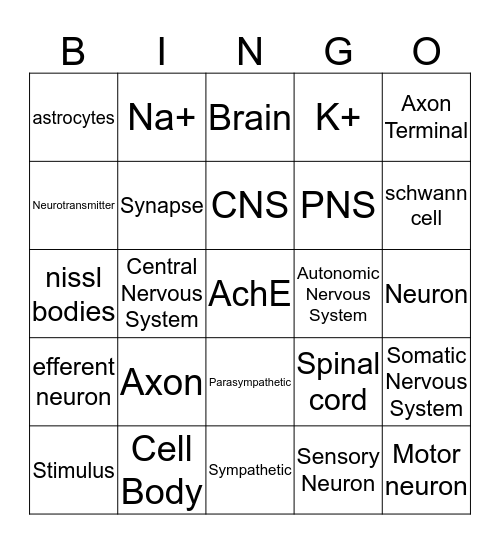NERVOUS SYSTEM- Neuron Bingo Card