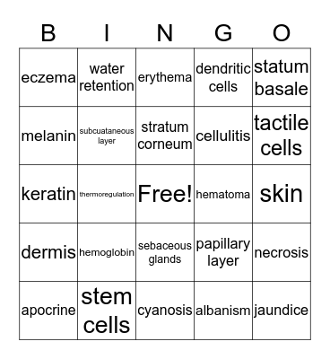 Integumentary System Bingo Card