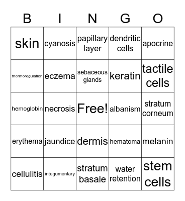 Integumentary System Bingo Card