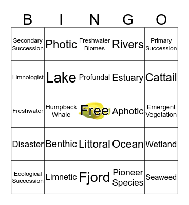 Aquatic Ecosystems Bingo Card