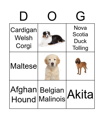 Dog Bingo Card