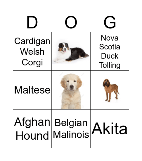 Dog Bingo Card