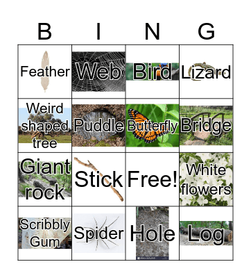 Bushwalk Bingo Card