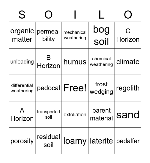 SOILO Bingo Card
