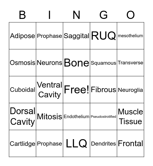 Body Structure Bingo Card