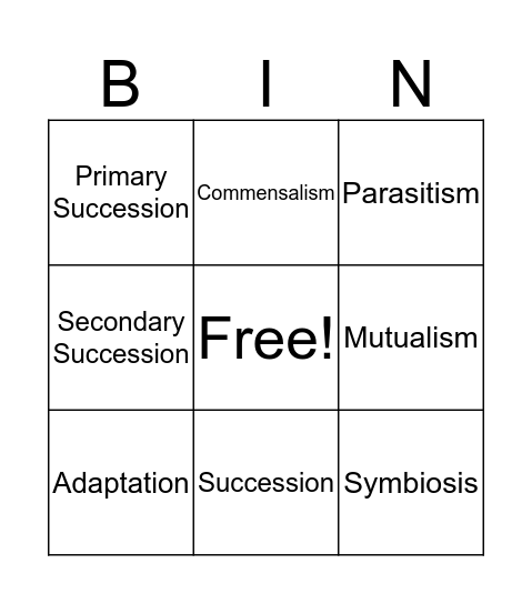 Succession Bingo Card