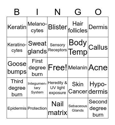 Bio II:  The Human Integumentary System Bingo Card
